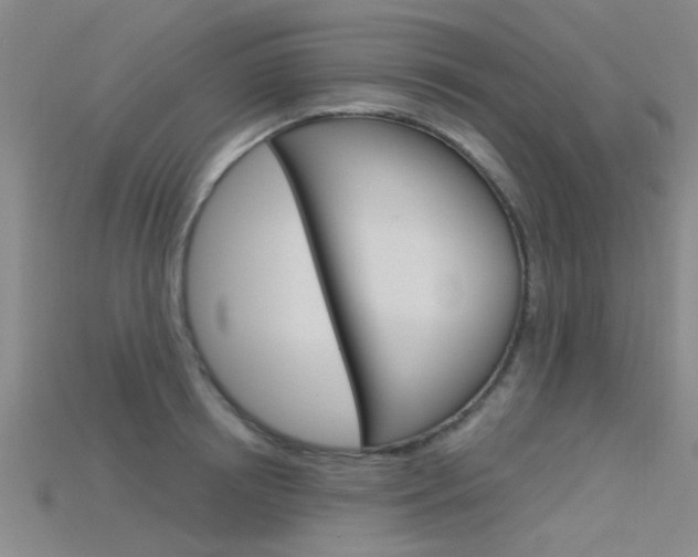 X0000115830850200911131125