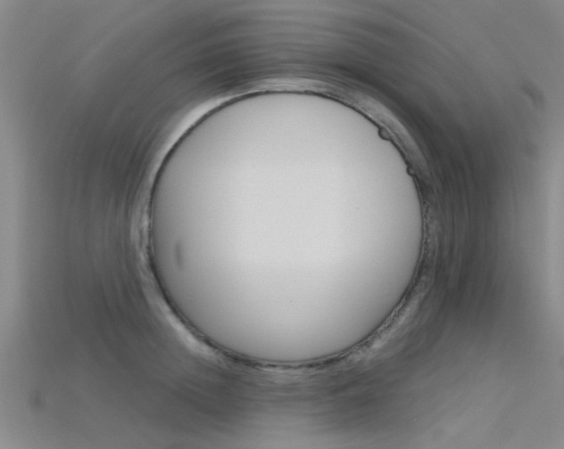 X0000115830852200911131125