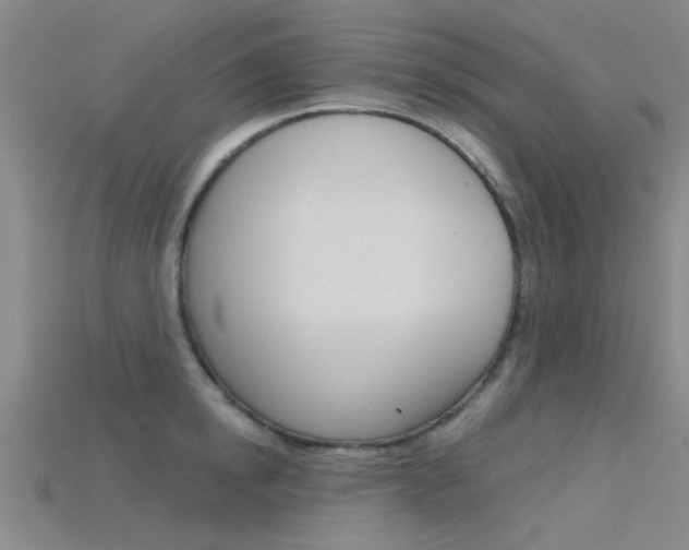 X0000115830854200911131125