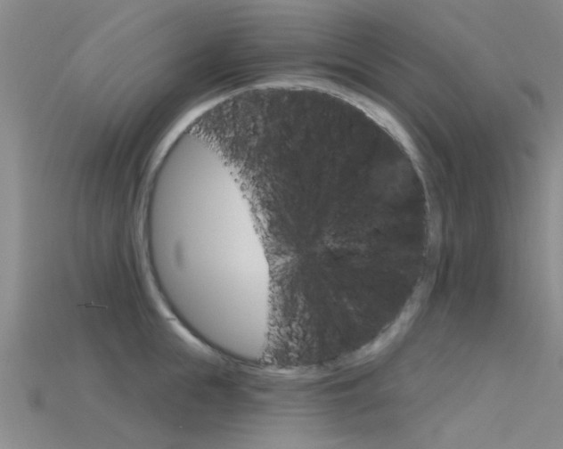 X0000115830855200911131125