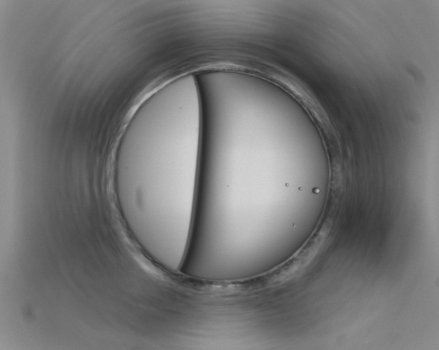 X0000115830858200911131125