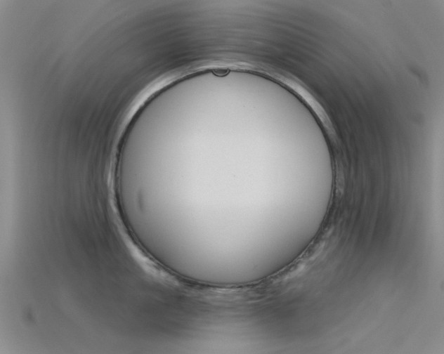 X0000115830861200911131126