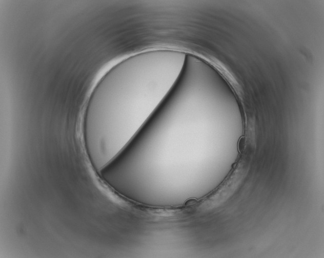 X0000115830862200911131126