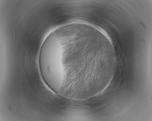 X0000115830863200911131126