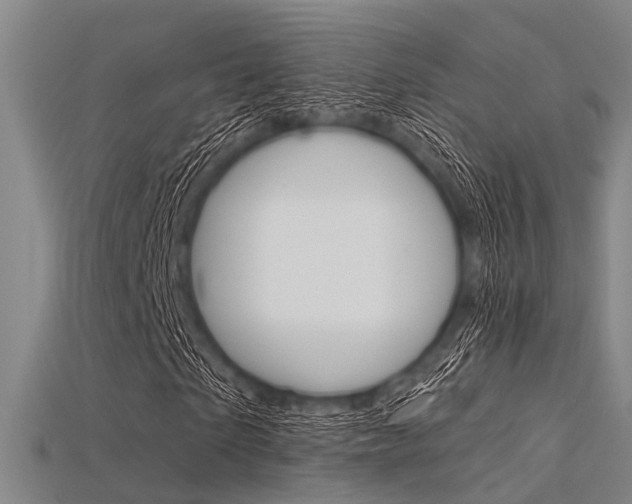 X0000115830865200911131125