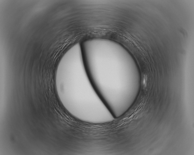 X0000115830867200911131125
