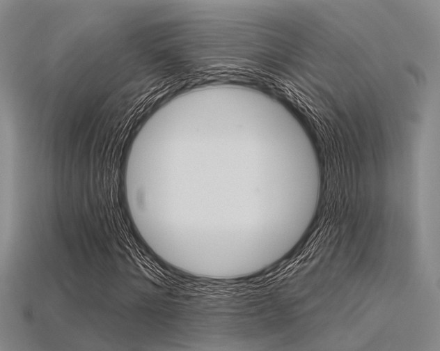 X0000115830868200911131125