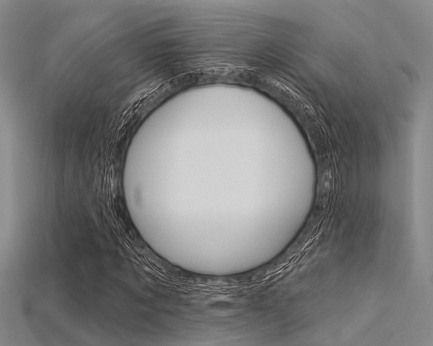 X0000115830869200911131125