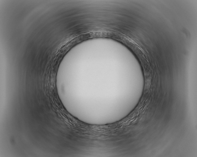 X0000115830870200911131125