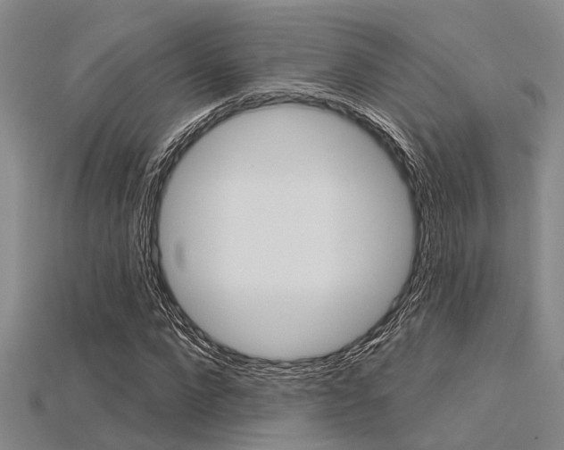X0000115830872200911131125