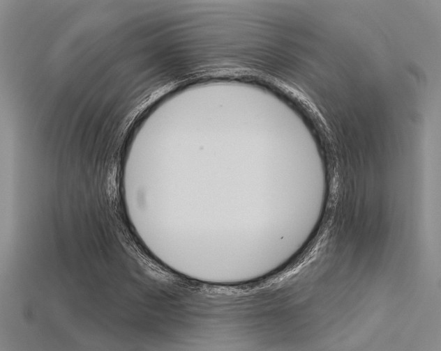 X0000115830873200911131125
