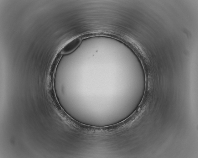 X0000115830876200911131125