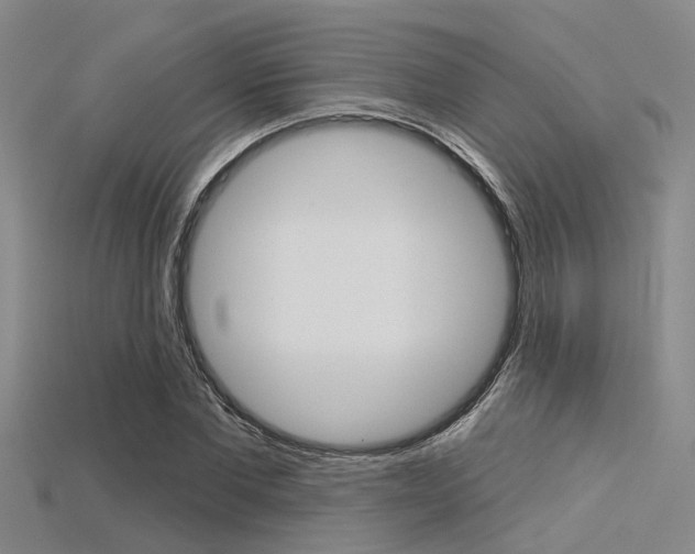 X0000115830877200911131125