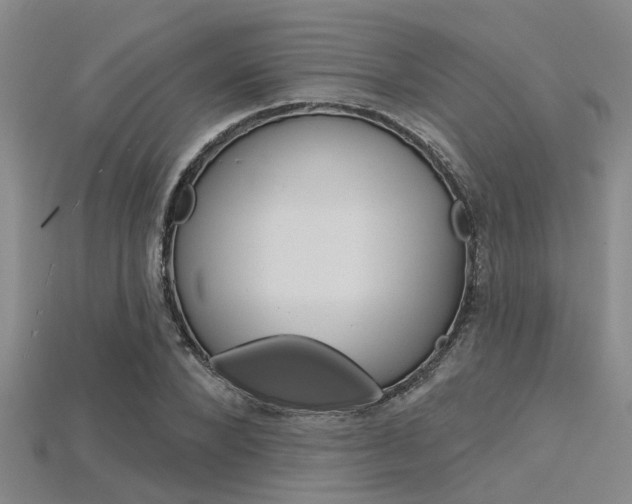 X0000115830880200911131125