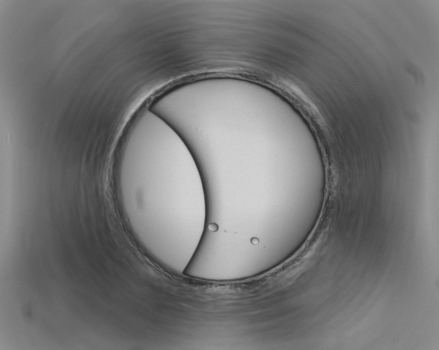 X0000115830883200911131125