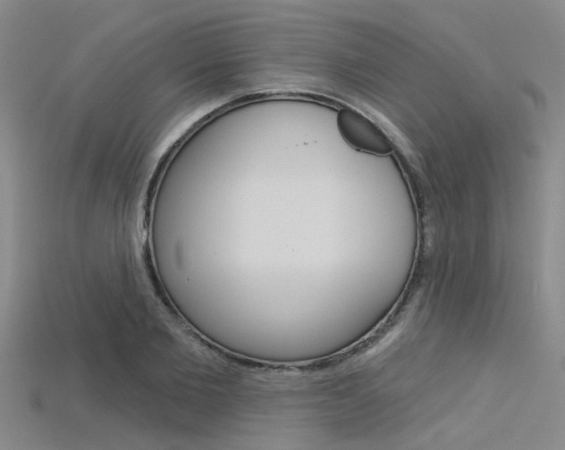 X0000115830885200911131125