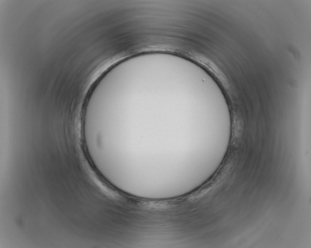 X0000115830890200911131125