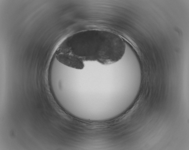X0000115830891200911131125