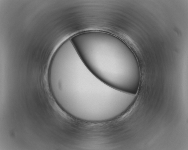 X0000115830892200911131125