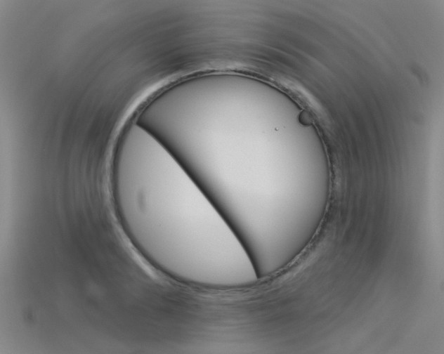 X0000115830894200911131125