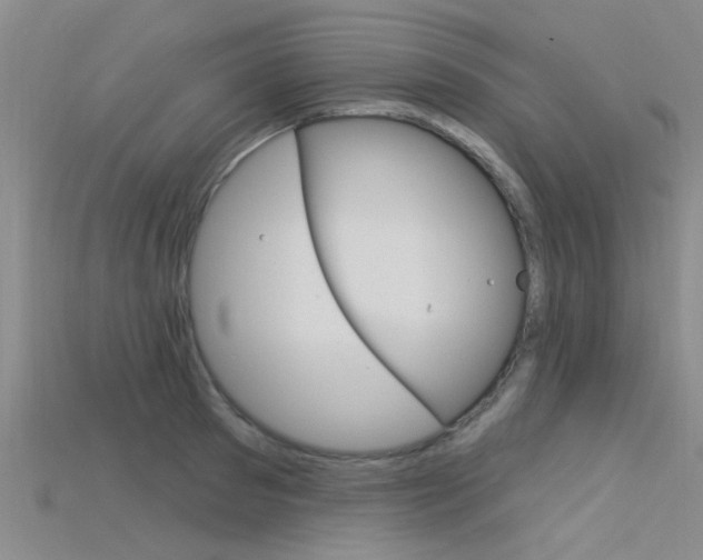 X0000115830897200911131125
