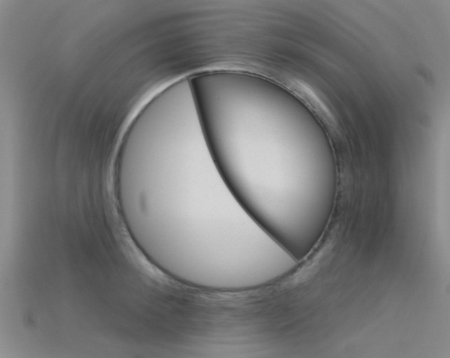 X0000115830900200911131125