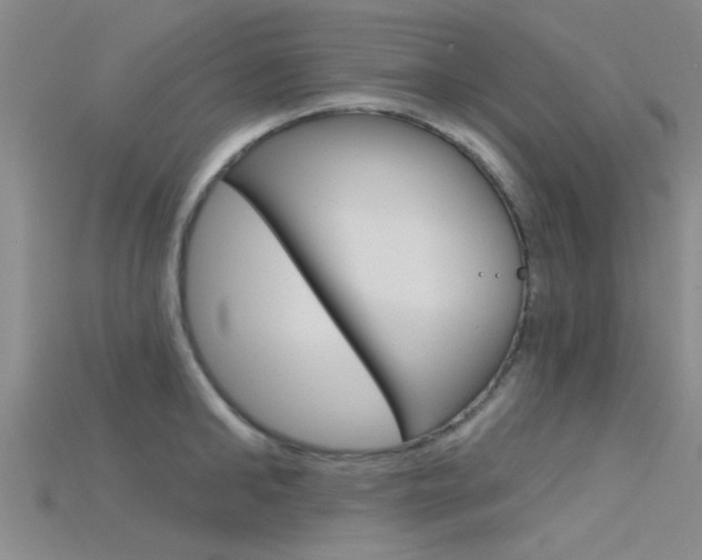 X0000115830902200911131124
