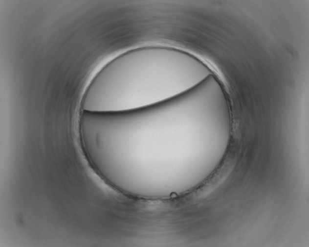 X0000115830903200911131124