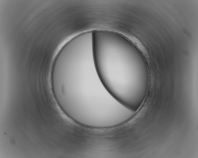 X0000115830904200911131124
