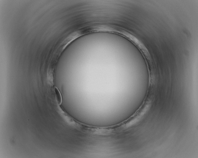 X0000115830905200911131124