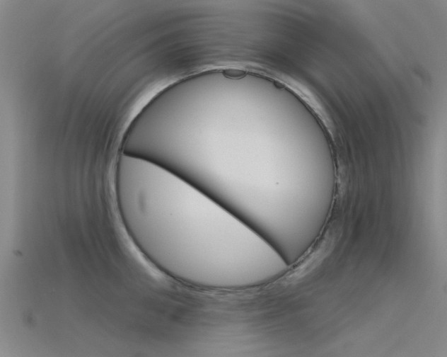 X0000115830906200911131124