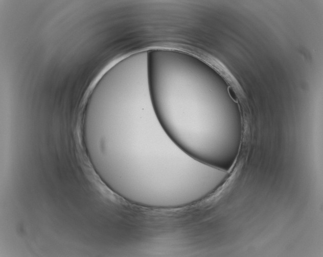 X0000115830908200911131124