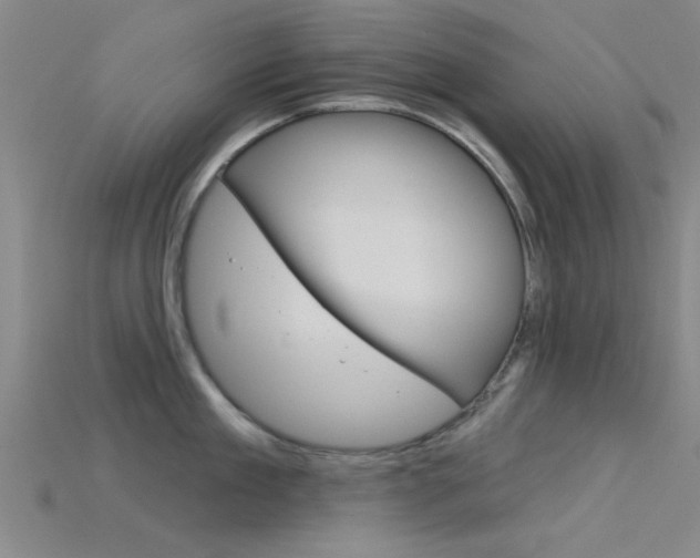 X0000115830909200911131124