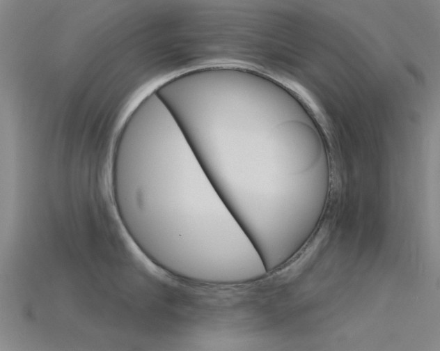 X0000115830910200911131124