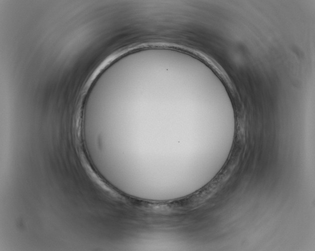 X0000115830911200911131124