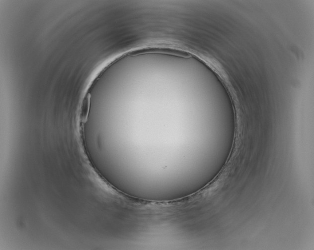 X0000115830912200911131124