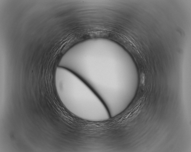 X0000115830915200911131124