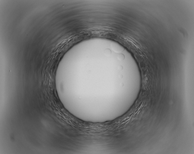 X0000115830917200911131124
