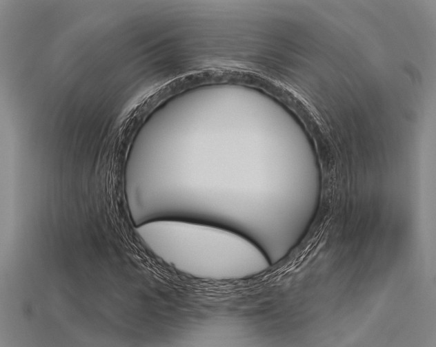 X0000115830919200911131124