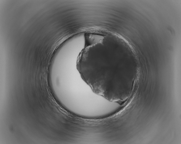 X0000115830921200911131124