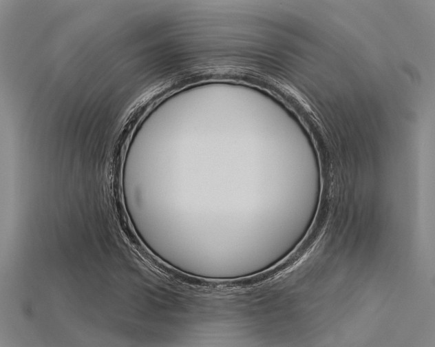 X0000115830922200911131124