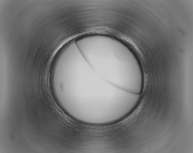 X0000115830923200911131124