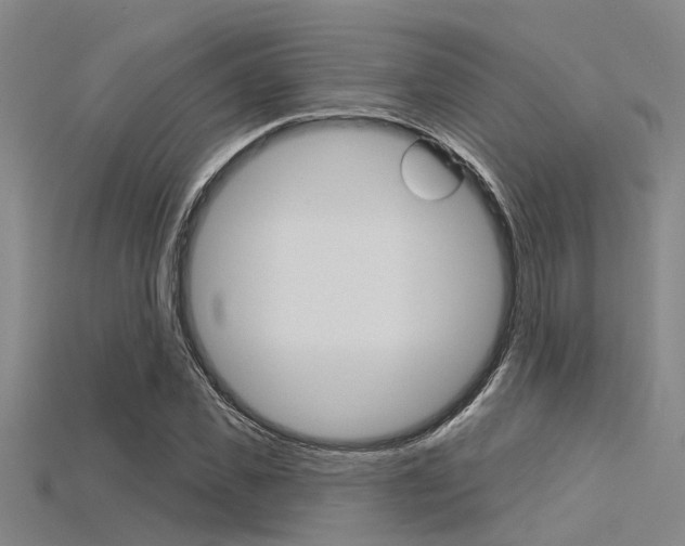 X0000115830925200911131124