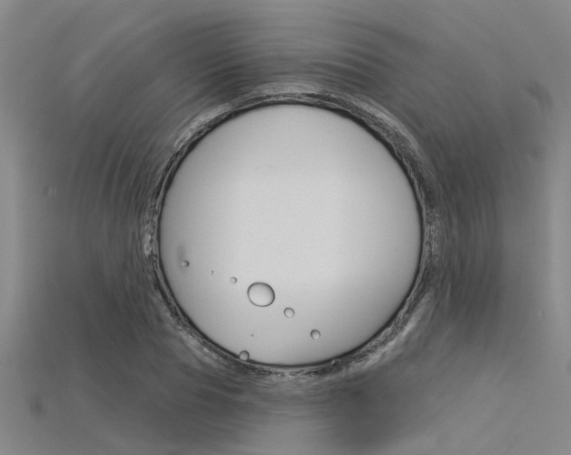 X0000115830929200911131124