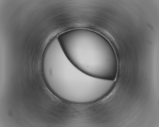 X0000115830930200911131124