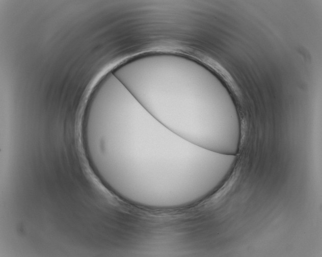 X0000115830939200911131124