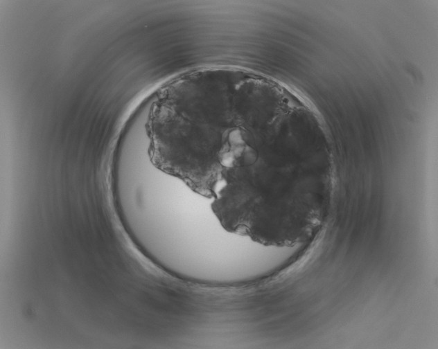 X0000115830941200911131124