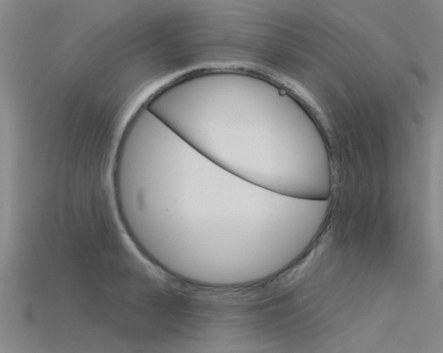 X0000115830943200911131124
