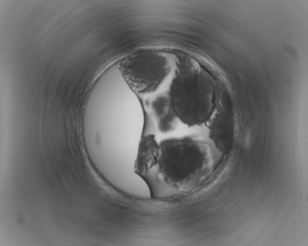 X0000115830945200911131124
