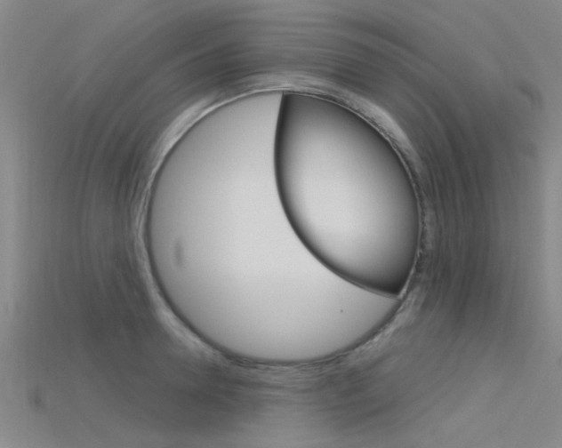 X0000115830946200911131124